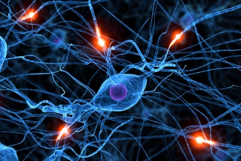 Neurostressprofil © Sebastian Kaulitzki - Fotolia.com