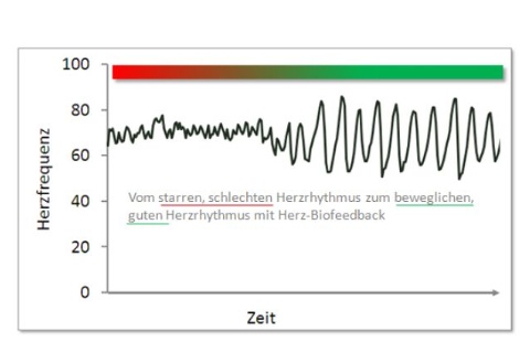 © BioSign GmbH © BioSign GmbH