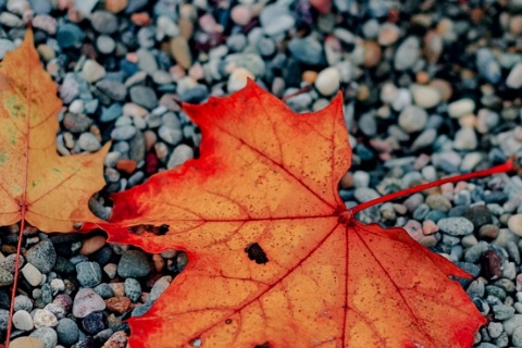 © Sabrina Bachmann - unsplash.com (Ausschnitt)